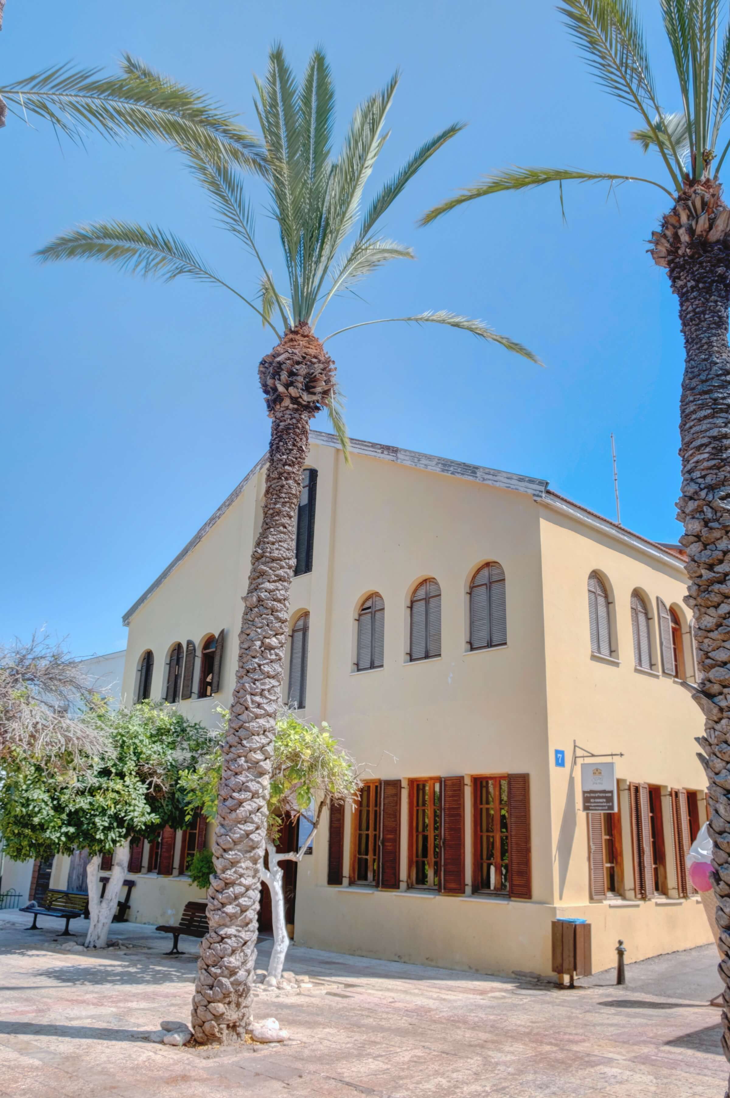 The building